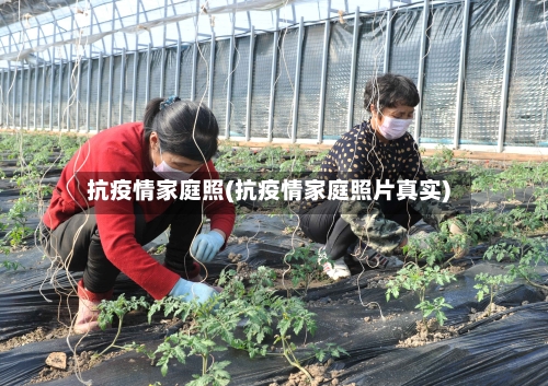 抗疫情家庭照(抗疫情家庭照片真实)