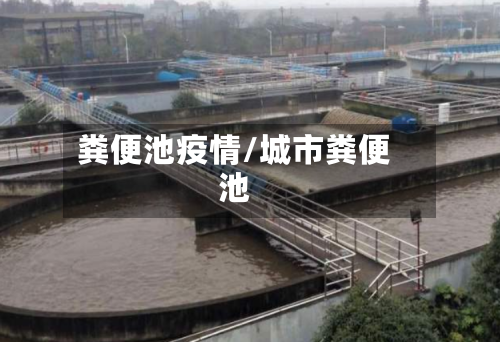 粪便池疫情/城市粪便池