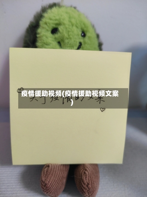 疫情援助视频(疫情援助视频文案)-第2张图片