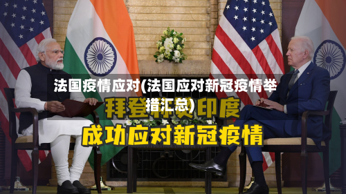 法国疫情应对(法国应对新冠疫情举措汇总)