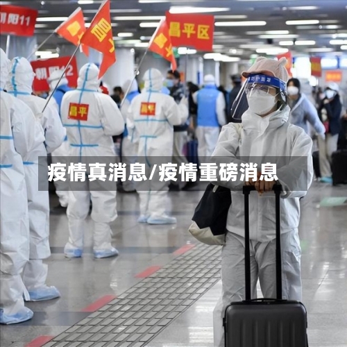 疫情真消息/疫情重磅消息
