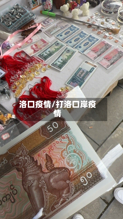 洛口疫情/打洛口岸疫情