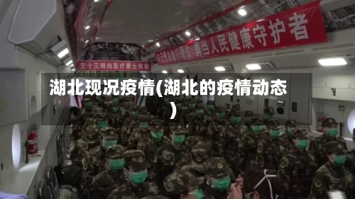 湖北现况疫情(湖北的疫情动态)-第2张图片