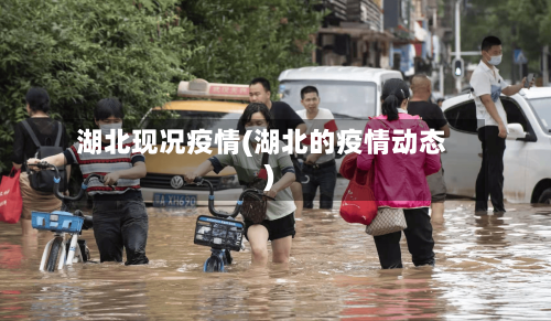 湖北现况疫情(湖北的疫情动态)