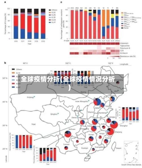 全球疫情分折(全球疫情情况分析)