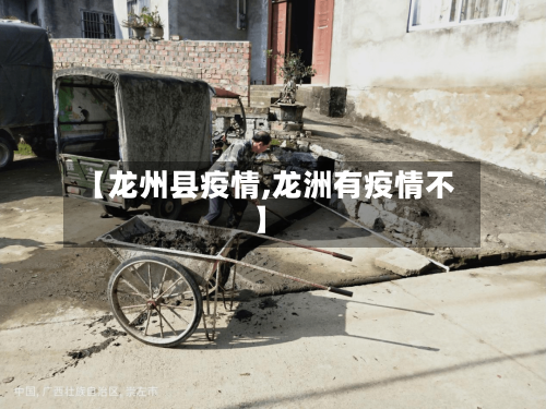 【龙州县疫情,龙洲有疫情不】-第2张图片