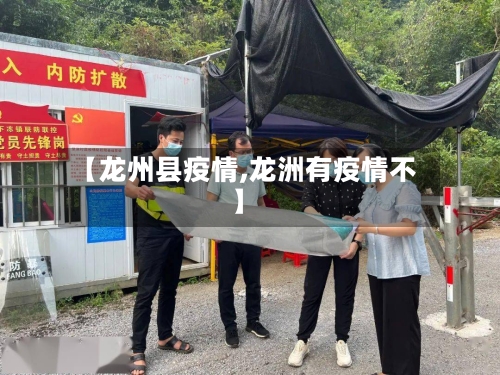 【龙州县疫情,龙洲有疫情不】-第3张图片