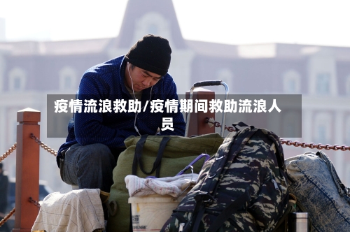 疫情流浪救助/疫情期间救助流浪人员