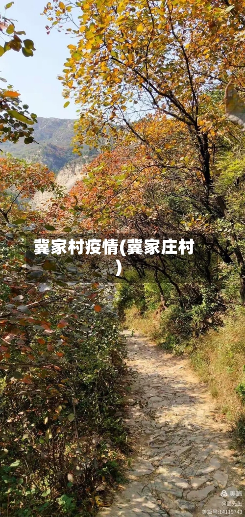 冀家村疫情(冀家庄村)