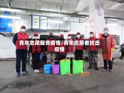 青年志愿服务疫情/青年志愿者抗击疫情