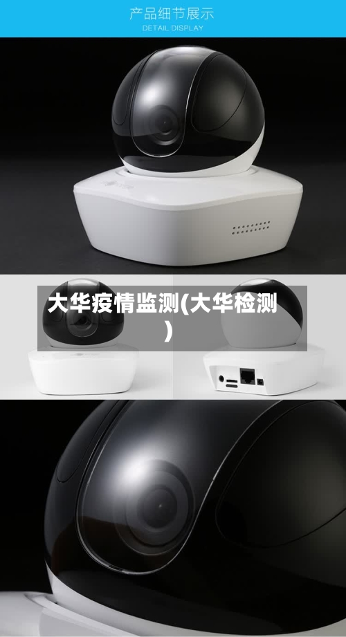 大华疫情监测(大华检测)