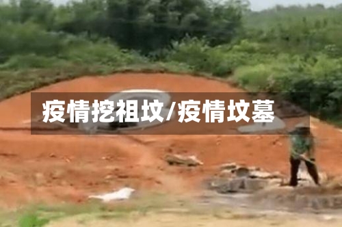 疫情挖祖坟/疫情坟墓-第2张图片
