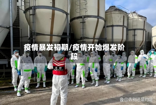 疫情暴发初期/疫情开始爆发阶段