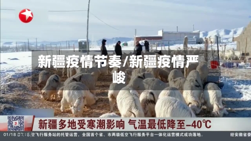 新疆疫情节奏/新疆疫情严峻-第2张图片