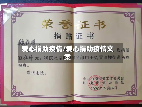爱心捐助疫情/爱心捐助疫情文案-第2张图片