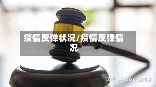 疫情反弹状况/疫情反弹情况