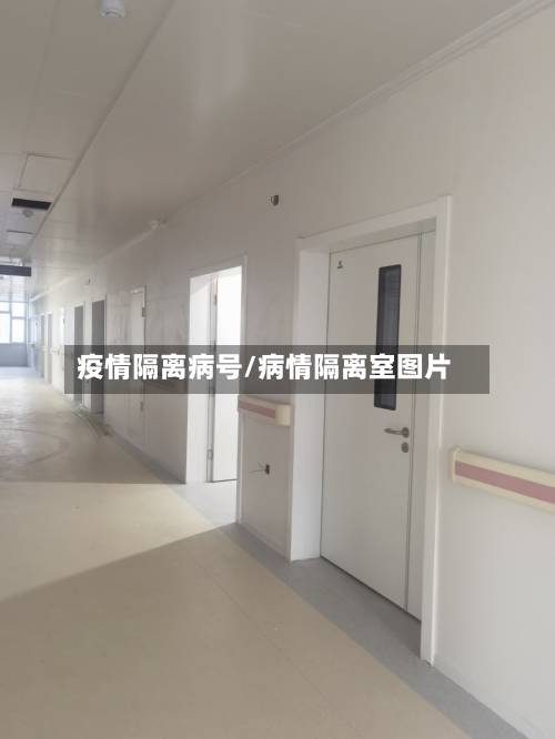 疫情隔离病号/病情隔离室图片