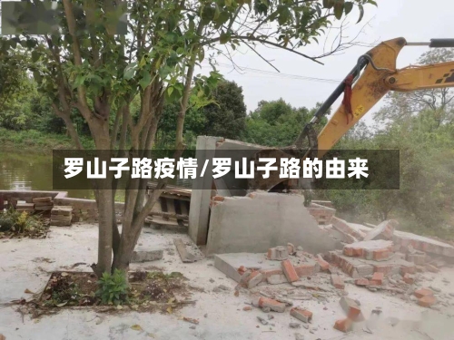 罗山子路疫情/罗山子路的由来-第2张图片
