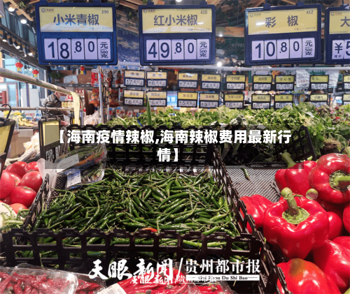【海南疫情辣椒,海南辣椒费用最新行情】