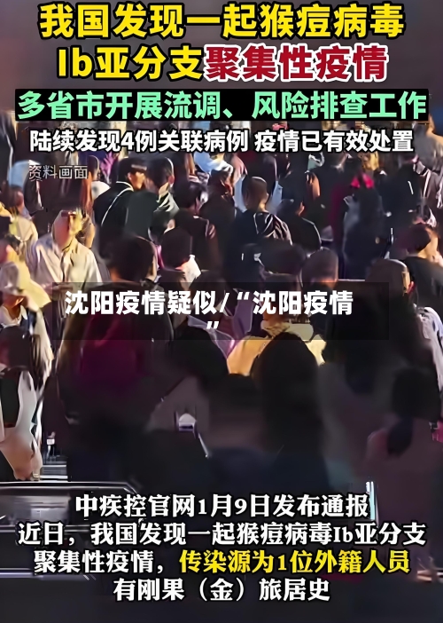 沈阳疫情疑似/“沈阳疫情”-第3张图片