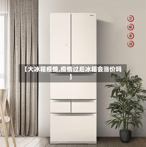 【大冰箱疫情,疫情过后冰箱会涨价吗】-第3张图片