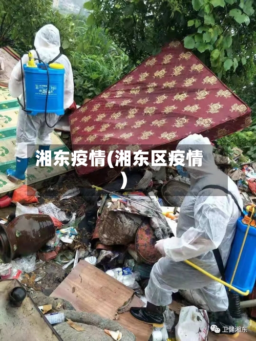湘东疫情(湘东区疫情)