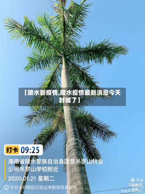 【陵水新疫情,陵水疫情最新消息今天封城了】-第2张图片