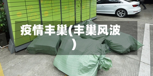 疫情丰巢(丰巢风波)-第2张图片