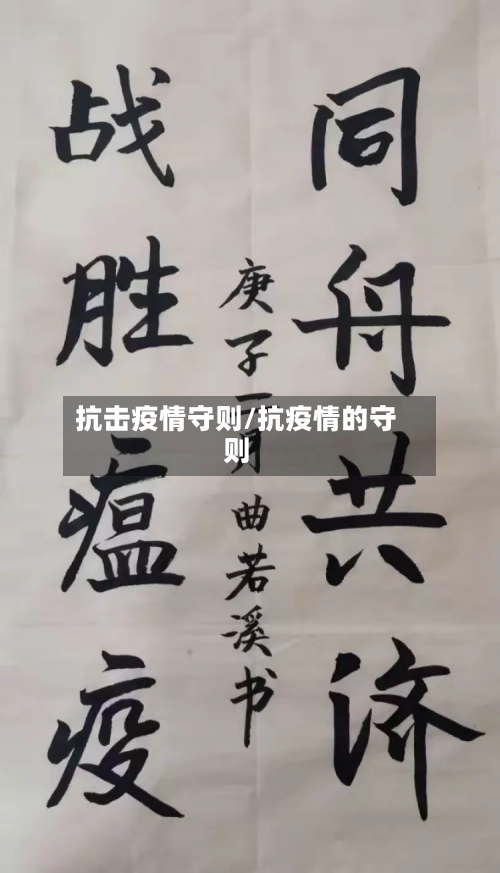 抗击疫情守则/抗疫情的守则