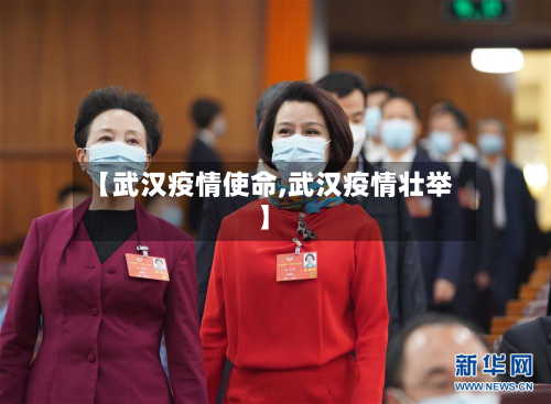 【武汉疫情使命,武汉疫情壮举】-第2张图片