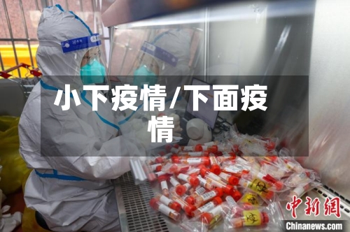小下疫情/下面疫情-第3张图片
