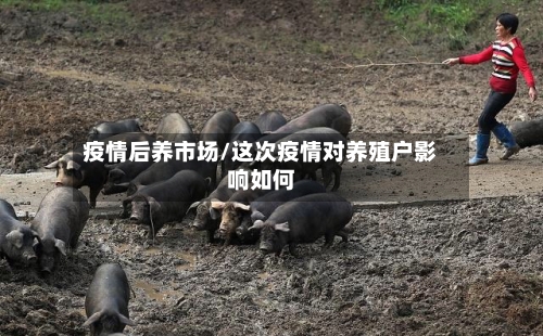 疫情后养市场/这次疫情对养殖户影响如何-第3张图片